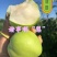 清甜早酥，皮薄无渣，润肺解燥上品！