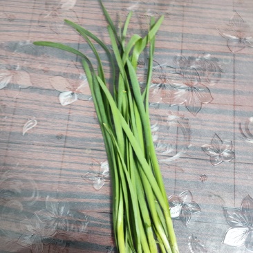 精品二刀精品韭菜特别好的韭菜