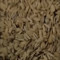 脱皮五香电商货