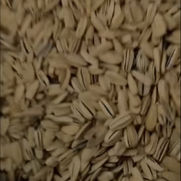 脱皮五香电商货