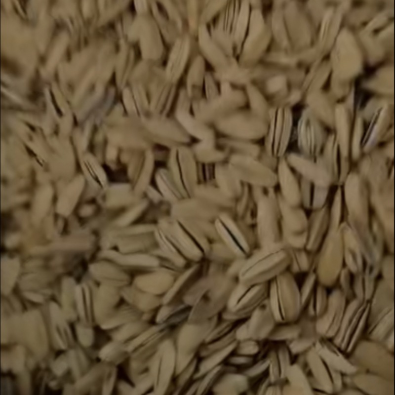 脱皮五香电商货