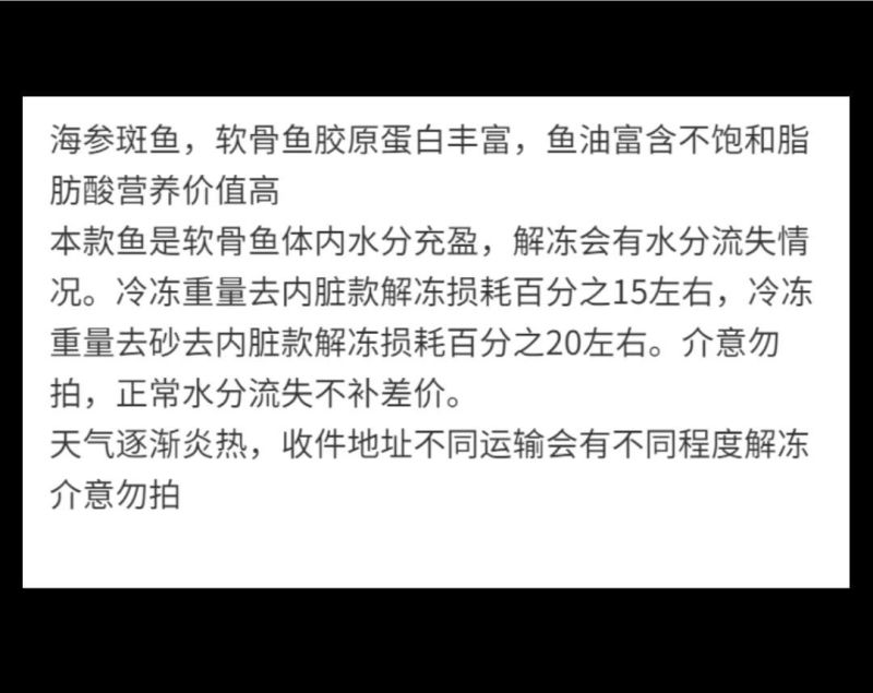 包邮）海参斑鱼新鲜速冻去内脏圆鳍鱼超大号海参斑鱼