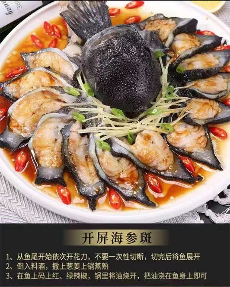 包邮）海参斑鱼新鲜速冻去内脏圆鳍鱼超大号海参斑鱼