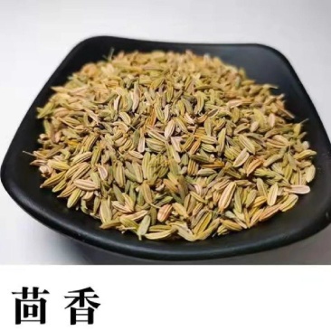 中药材小茴香
