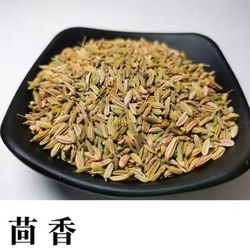 中药材小茴香