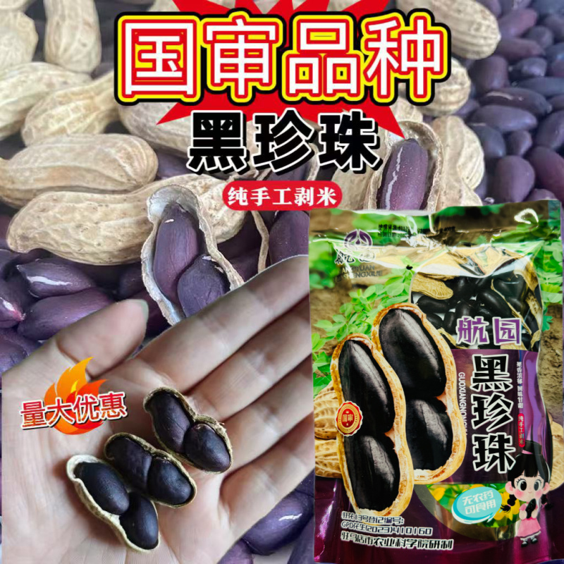 航园黑珍珠花生种子高产早熟大粒黑花生种子春夏大田用种