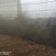 纯鸡粪有机肥规格齐全散装袋装价格实惠货量足联