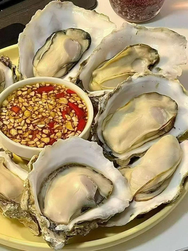 乳山生蚝全国发货