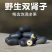 双肾子中药材石莲子肾宝丹黑子肾果滋补养生苦石莲子果