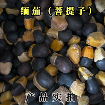 缅茄中药材马牙果菩提子原料菩提籽滋补养生文玩手工车珠子