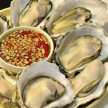 乳山生蚝全国发货