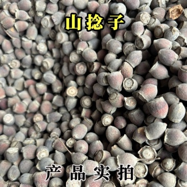 山捻子中药材桃金娘岗捻子干果多尼果