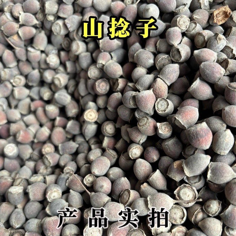 山捻子中药材桃金娘岗捻子干果多尼果
