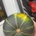 优品贝贝