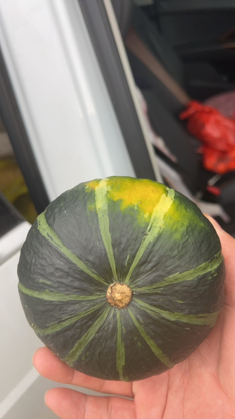 优品贝贝