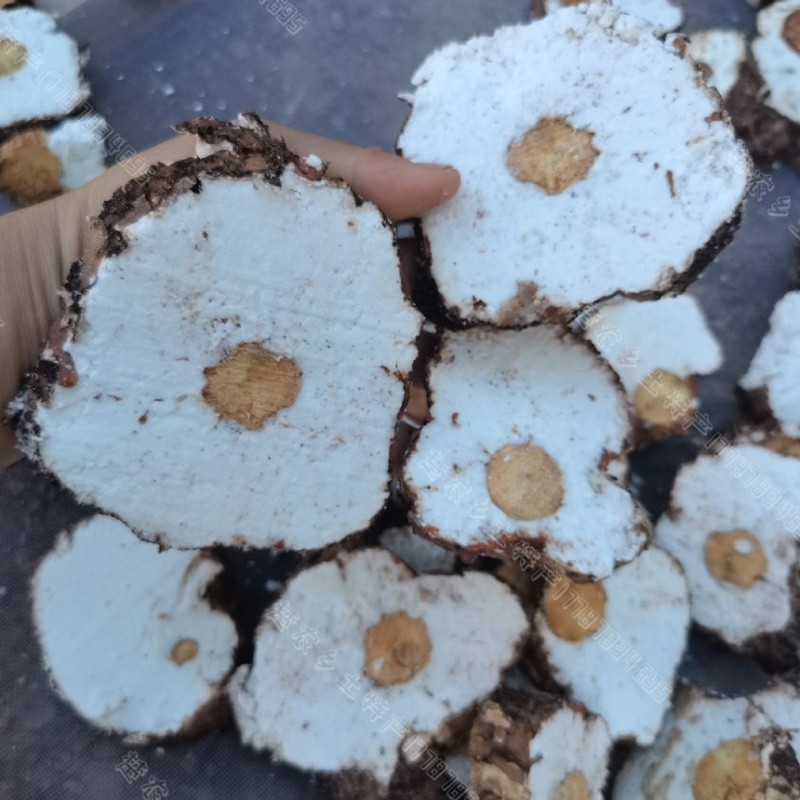 茯神中药材含神率高木云神去皮茯神片茯神碎规格齐全
