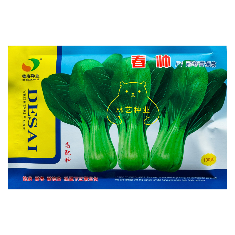 春帅青梗菜种子一代杂交越冬耐寒青梗菜种子叶色油绿青菜种子