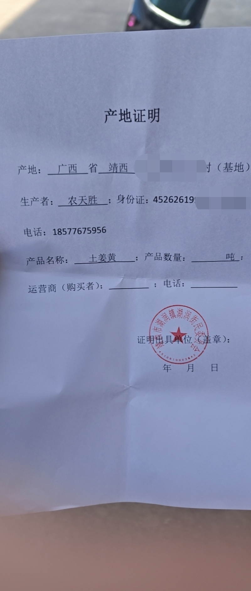 广西，土姜黄药厂检测达标含量高，自家种植0农药