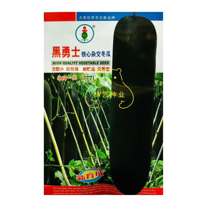 黑勇士铁心杂交黑皮冬瓜种子高产早熟冬瓜种籽农家菜园