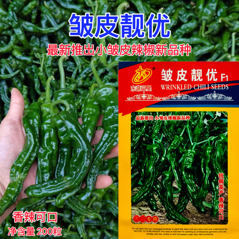 东蔬三星皱皮靓优辣椒种子超辣皱皱皮辣椒种籽春秋播种