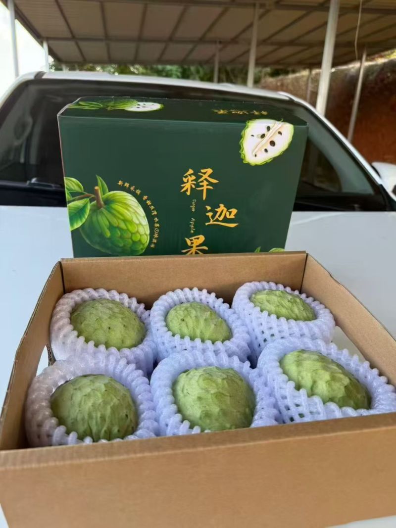 释迦产地直发
