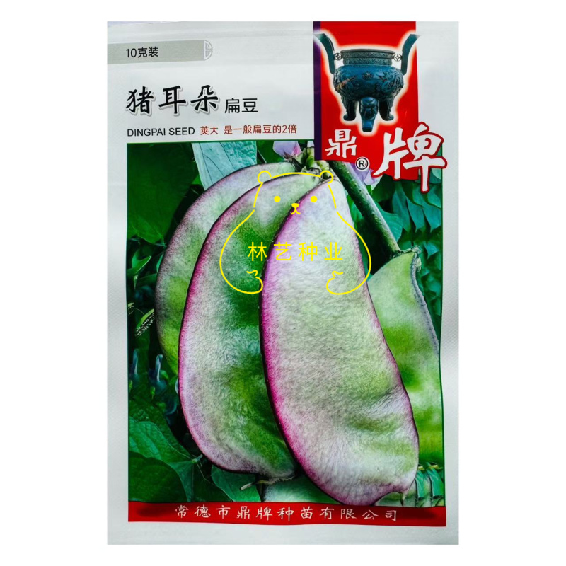 鼎牌猪耳朵扁豆种子中熟荚大生长势强适宜稀植产量高