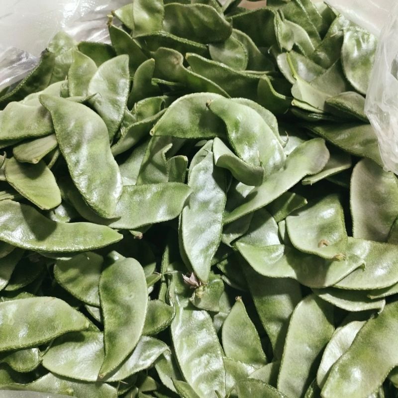 鼎牌特早春扁豆种子结荚多连续结荚上市早适播期长嫩绿扁豆种