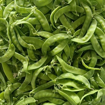 荷兰豆大量上市