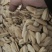 大量供应打手瓜子，源头工厂直供，全国发货