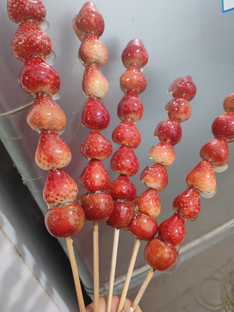 糖葫芦批发