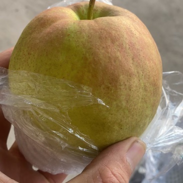 玉露香梨