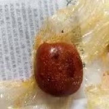 天然牛黄