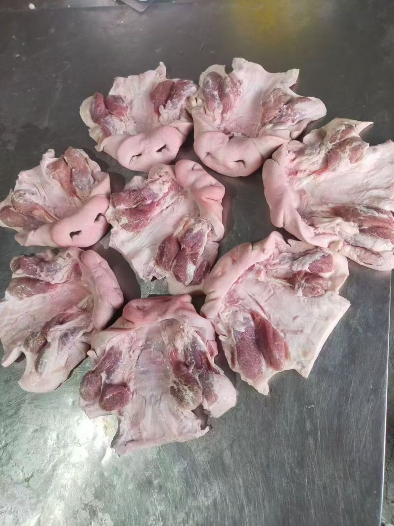 20多个拱嘴
