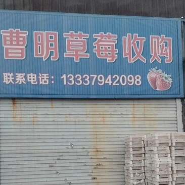 邳州港上草莓大降价