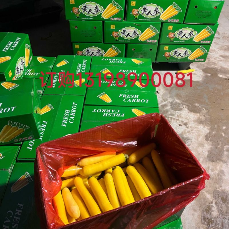 黄胡萝卜，产地直供！（水果黄心胡萝卜）当水果吃的胡萝卜！