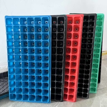 穴盘育苗盘