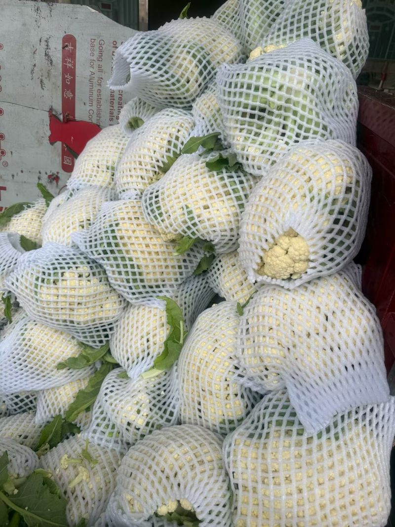 有机花