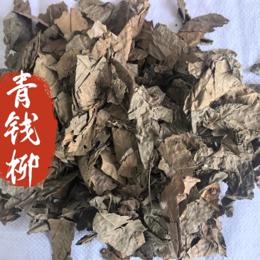 青钱柳中药材青钱柳新货东弘药业一手货源现货供应