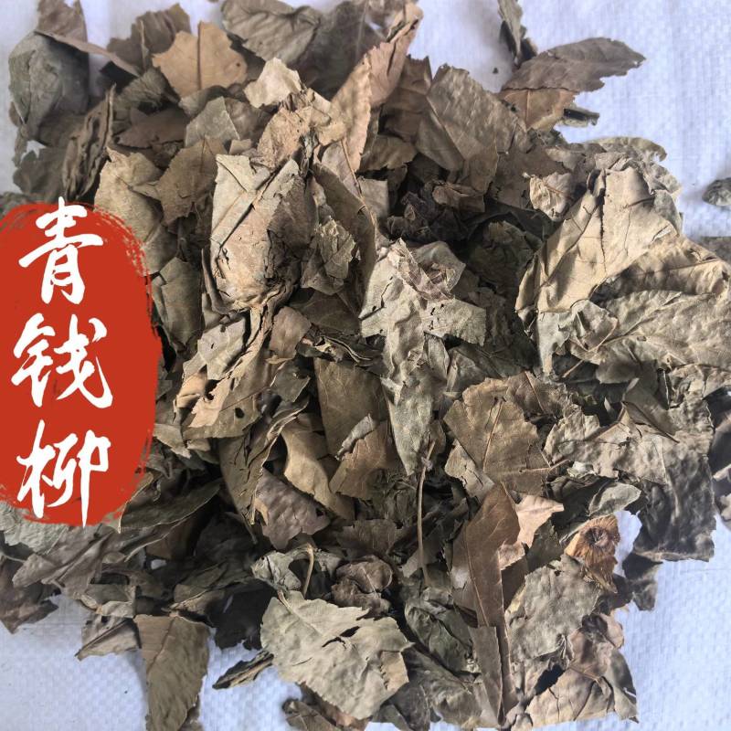 青钱柳中药材青钱柳新货东弘药业一手货源现货供应