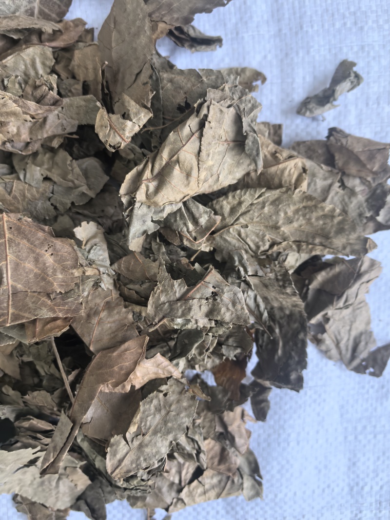 青钱柳中药材青钱柳新货东弘药业一手货源现货供应
