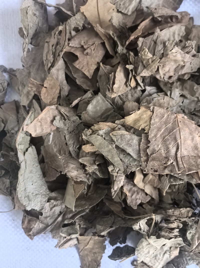 青钱柳中药材青钱柳新货东弘药业一手货源现货供应
