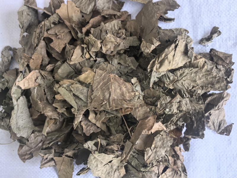 青钱柳中药材青钱柳新货东弘药业一手货源现货供应