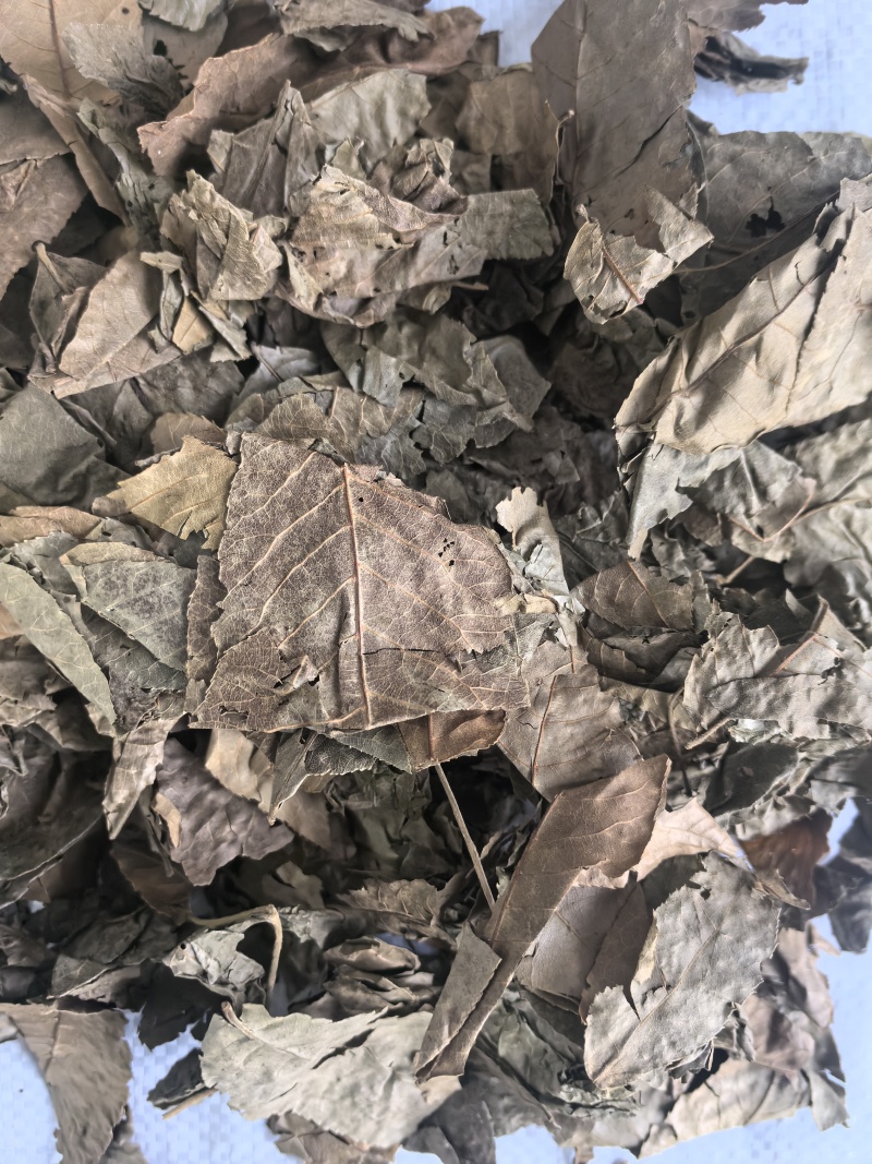 青钱柳中药材青钱柳新货东弘药业一手货源现货供应