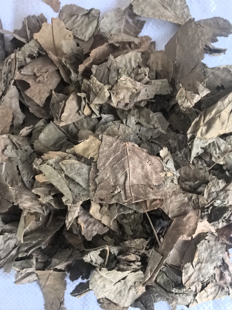 青钱柳中药材青钱柳新货东弘药业一手货源现货供应