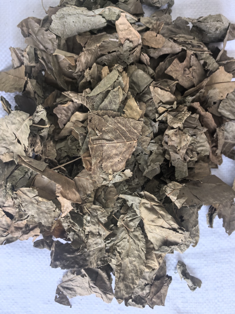 青钱柳中药材青钱柳新货东弘药业一手货源现货供应