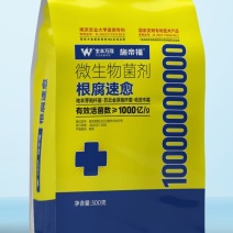 根腐病的克星根腐速愈比莱青霉菌，