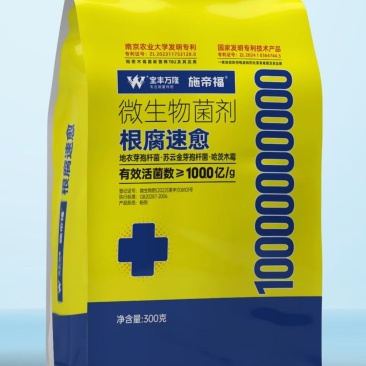 根腐病的克星根腐速愈比莱青霉菌，
