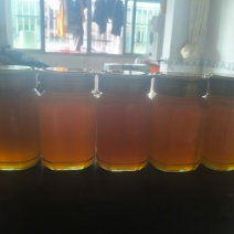 野生土蜂蜜，深山放养，原生态，每年取一次。