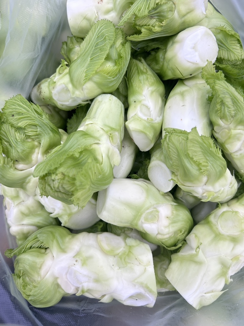 精品儿菜