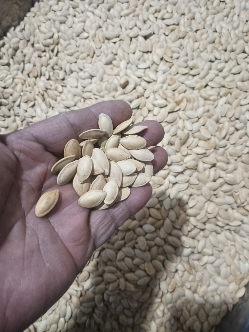 一把南瓜籽=50g生蠔的锌